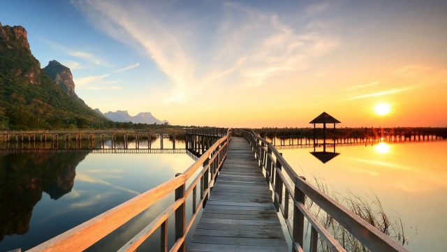 园林绿化沟化开关