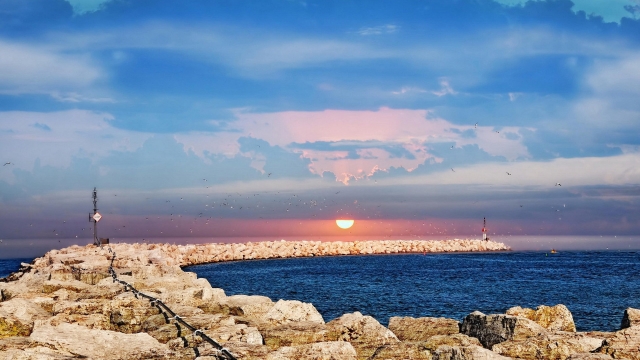 优发：园林绿化树种种植土