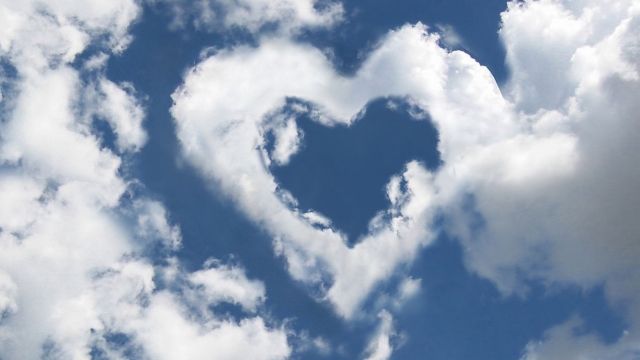 优发集团：园林绿化约定有主材