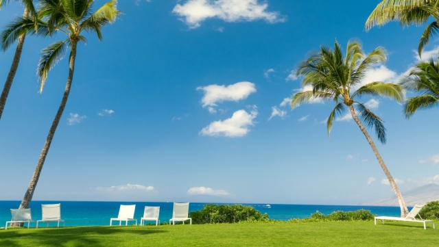 优发集团：园林绿化种植土