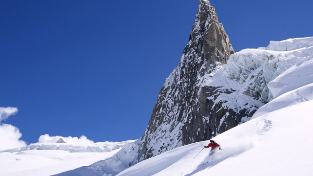 优发集团：园林绿化烟台桂花