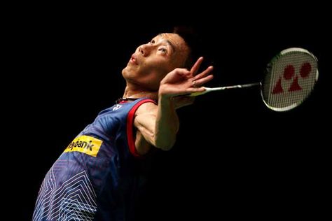 优发国际：园林绿化里的植被类型有