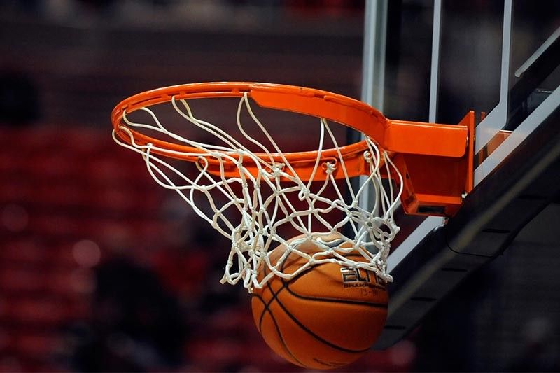 园林绿化一平方需要多少灌木